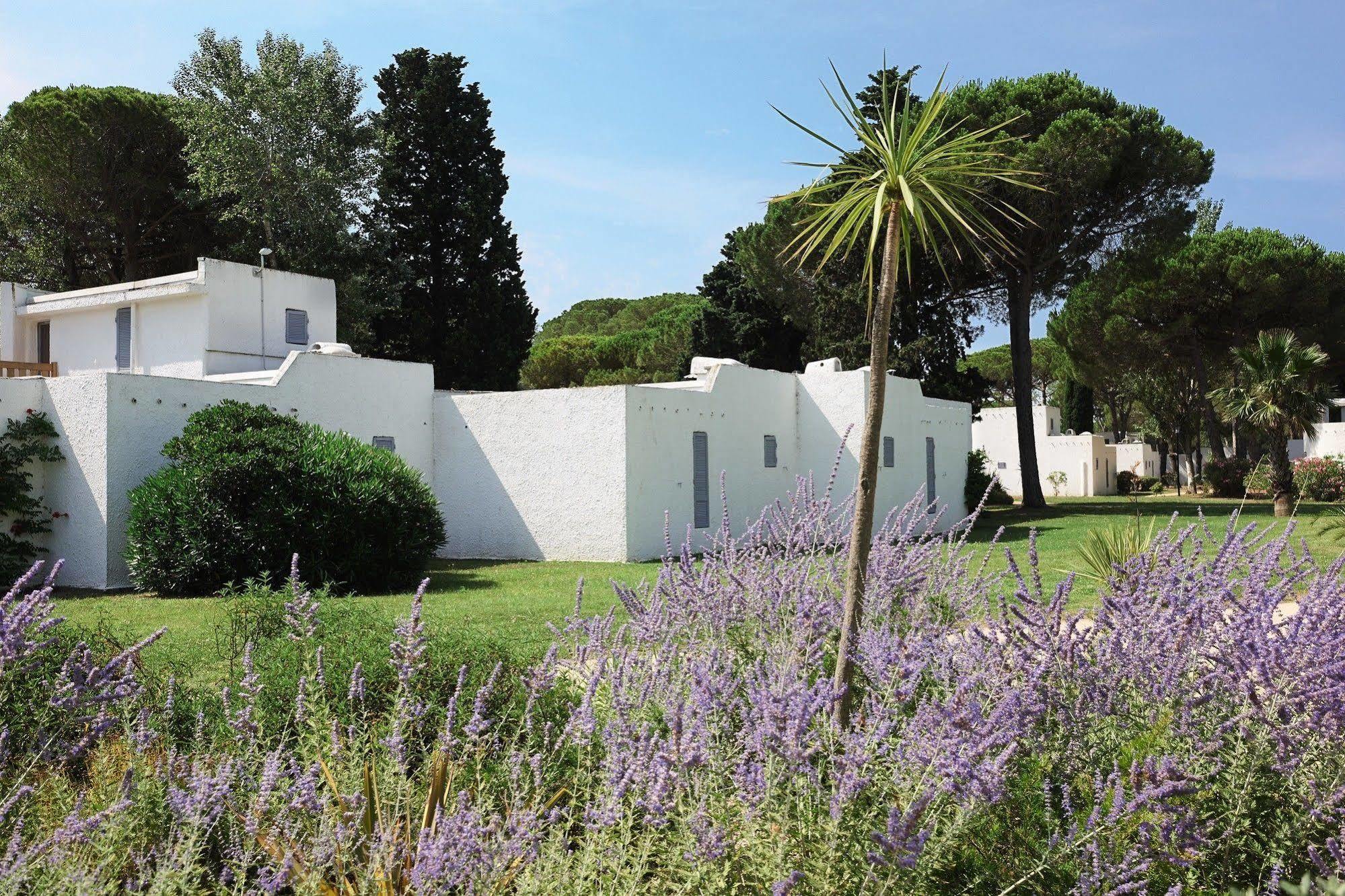 Belambra Clubs Residence La Grande Motte - Petite Camargue Presqu'Ile Du Ponant エクステリア 写真